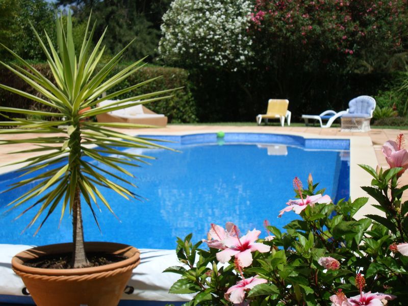 Pool Terrace Renovation